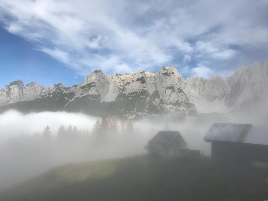Haus Schlager "Dasappartement" Annaberg im Lammertal Exterior photo